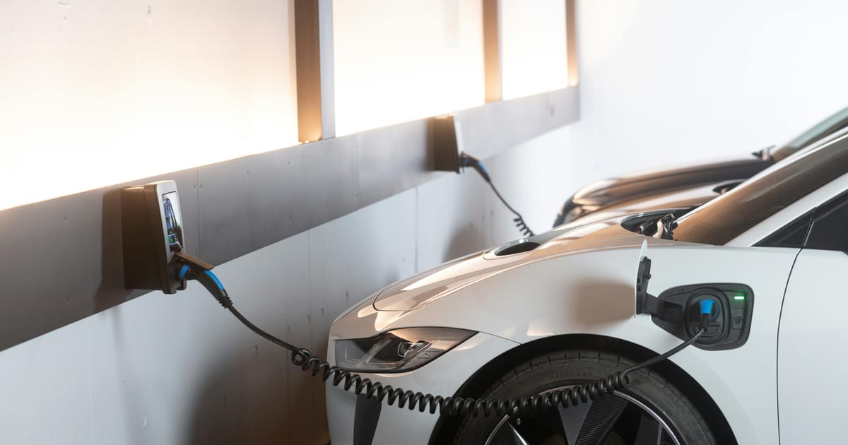 Zakelijke elektrische auto's in een wagenpark